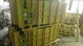 Лента в сборе 43L 1G 610 мм (BPR) 9W2749 KBJ